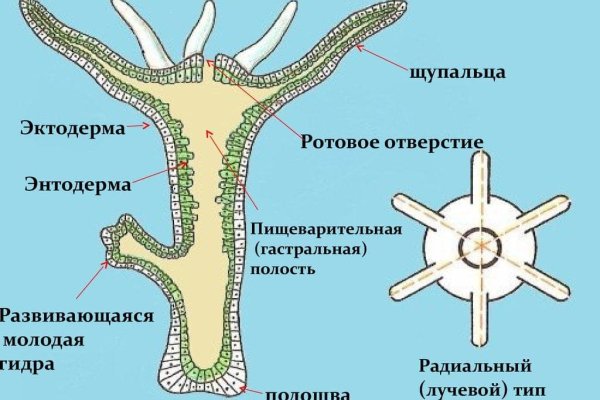 Кракен почему пользователь не найден