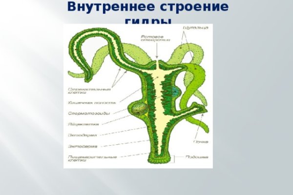 Кракен 17 точка ат