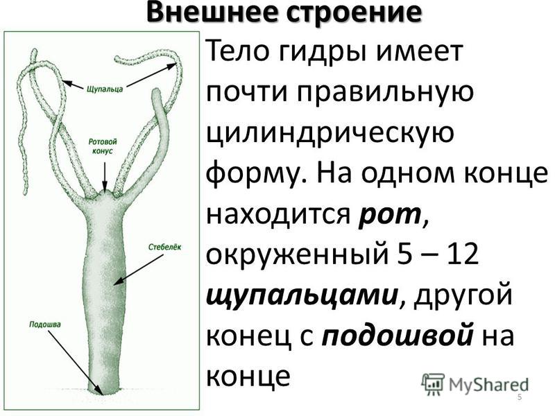 Кракен даркнет тор